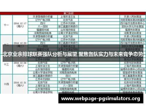 北京业余排球联赛强队分析与展望 聚焦各队实力与未来竞争态势