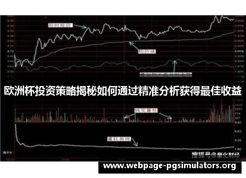 欧洲杯投资策略揭秘如何通过精准分析获得最佳收益